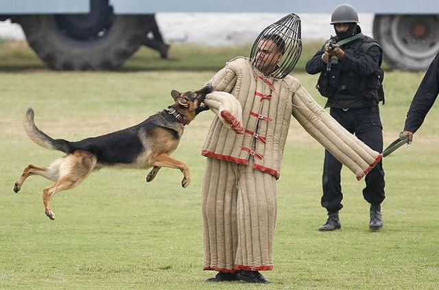 Daily picdump (115 pics)