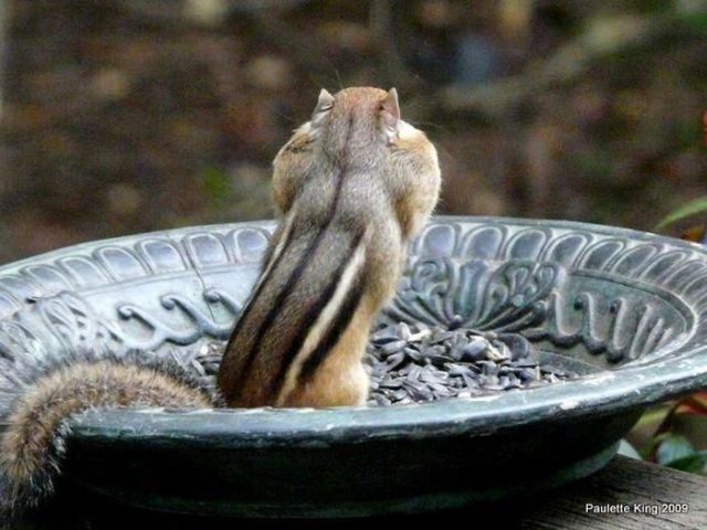 Daily picdump (115 pics)