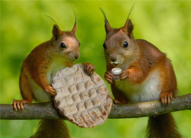 Daily picdump (115 pics)