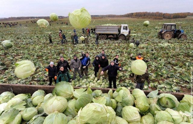 Daily picdump (115 pics)