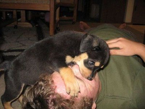 Daily picdump (115 pics)