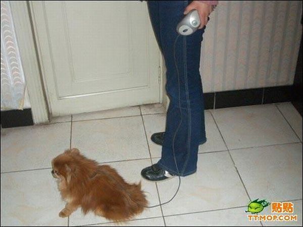 Daily picdump (115 pics)