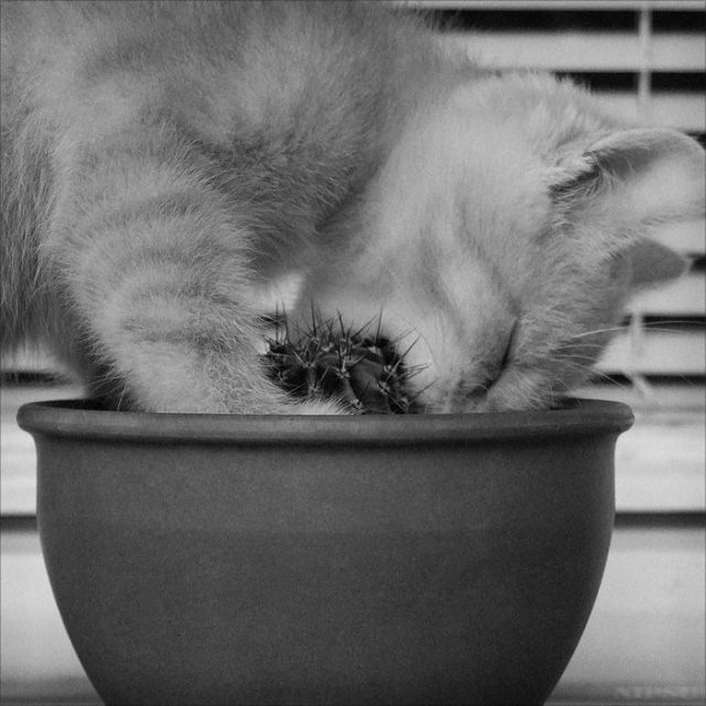 Daily picdump (115 pics)