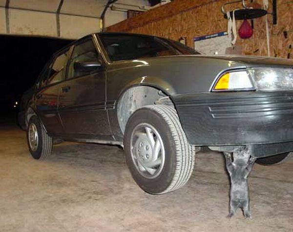Daily picdump (115 pics)
