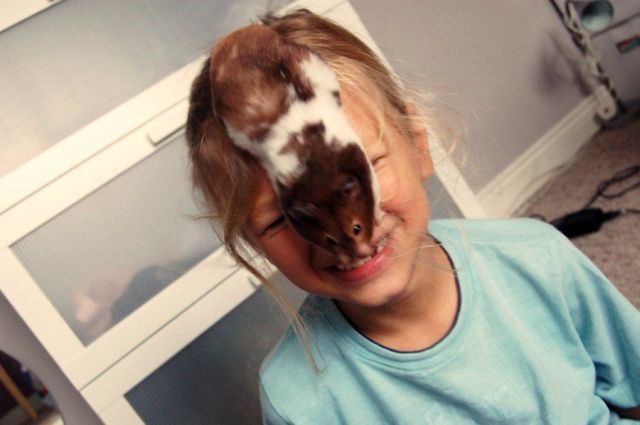 Daily picdump (115 pics)
