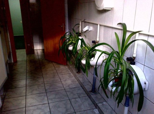Daily picdump (115 pics)