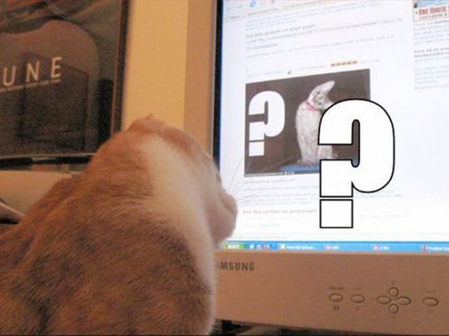 Daily picdump (115 pics)