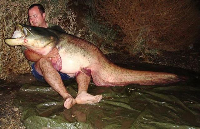 Daily picdump (115 pics)