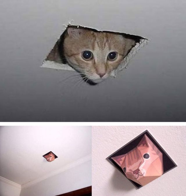 Daily picdump (115 pics)