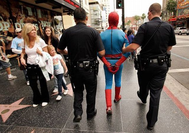 Daily picdump (163 pics)