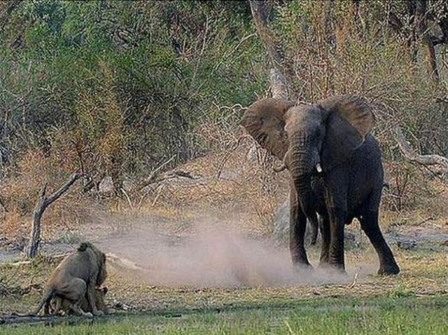 Daily picdump (163 pics)