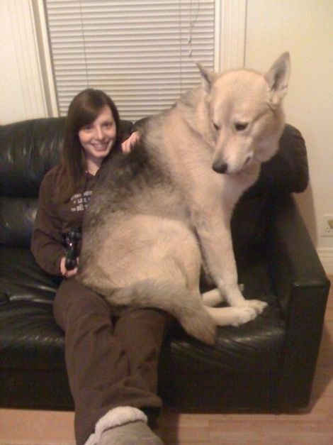 Daily picdump (163 pics)