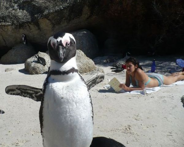Daily picdump (163 pics)