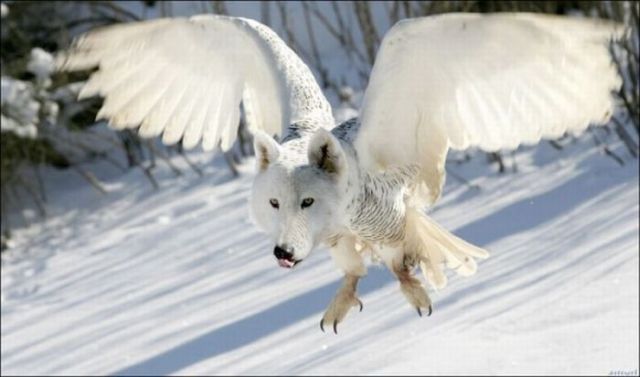 Daily picdump (163 pics)