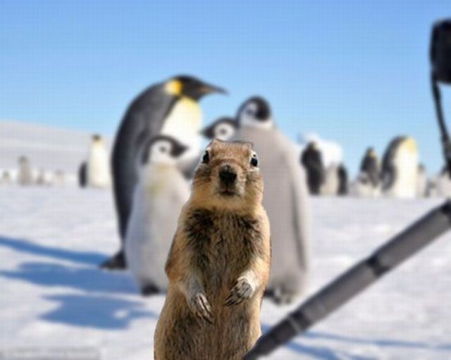 Daily picdump (163 pics)