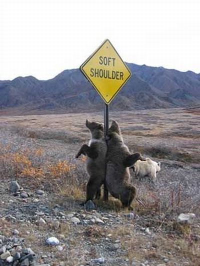 Daily picdump (163 pics)
