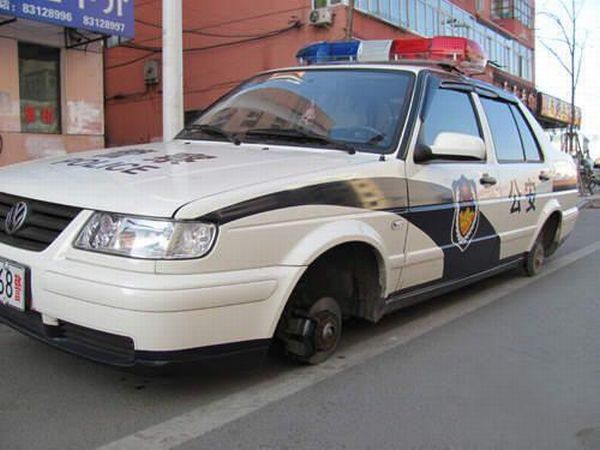 Daily picdump (163 pics)