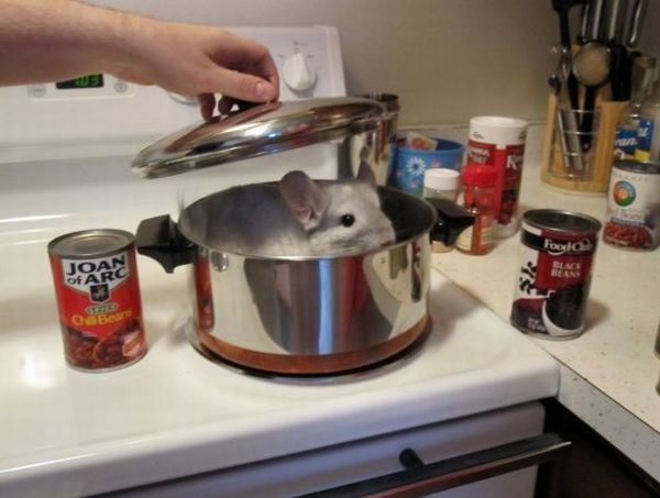 Daily picdump (163 pics)