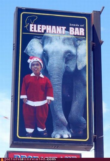 Daily picdump (163 pics)