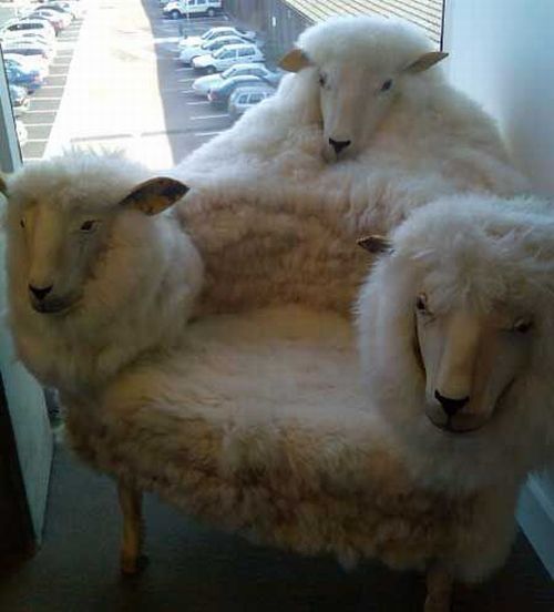 Daily picdump (163 pics)