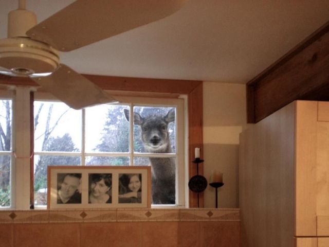 Daily picdump (163 pics)