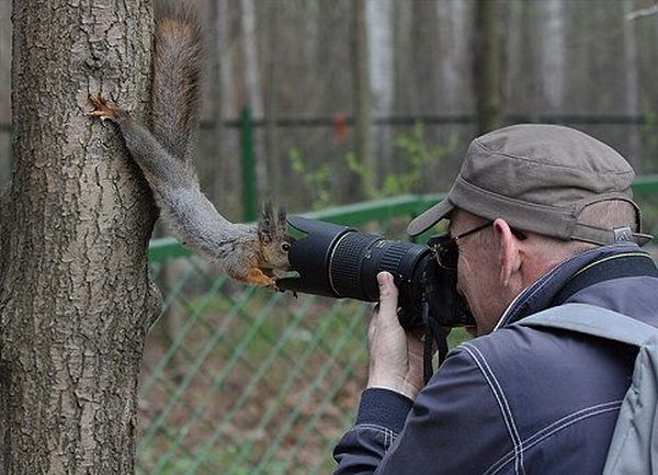 Daily picdump (163 pics)