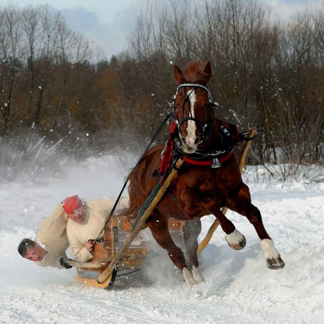 Daily picdump (163 pics)
