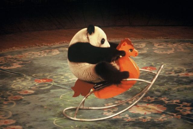 Daily picdump (163 pics)