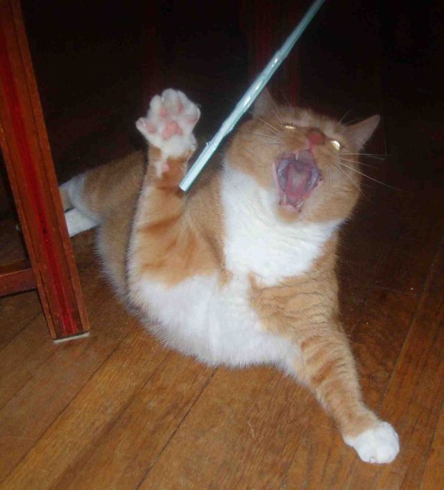 Daily picdump (163 pics)