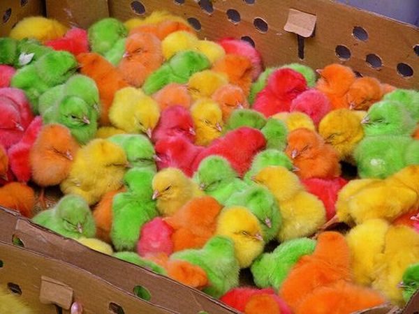 Daily picdump (163 pics)