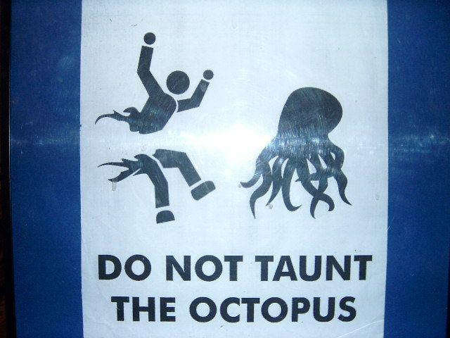 Daily picdump (163 pics)