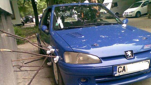 Daily picdump (163 pics)