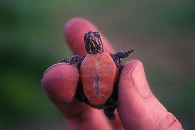Daily picdump (163 pics)