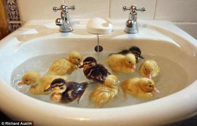 Daily picdump (163 pics)