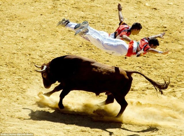Daily picdump (163 pics)
