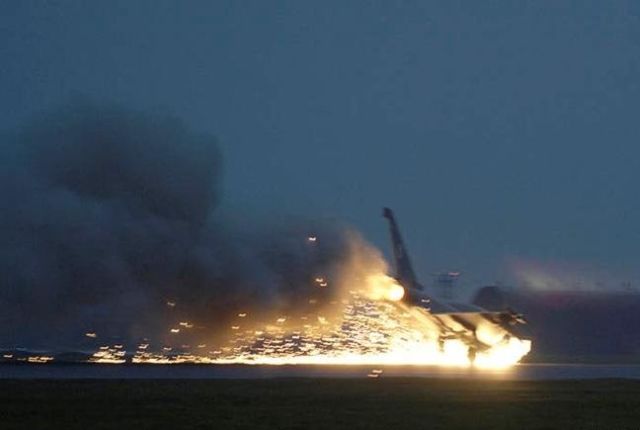 Emergency Landing (18 pics)