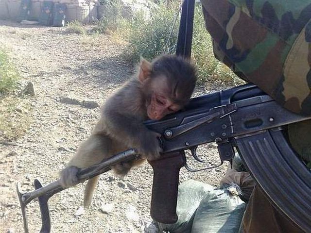 Daily picdump (116 pics)