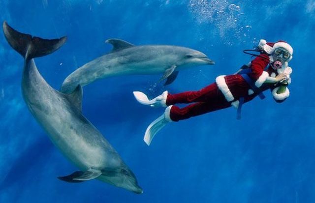 Daily picdump (116 pics)