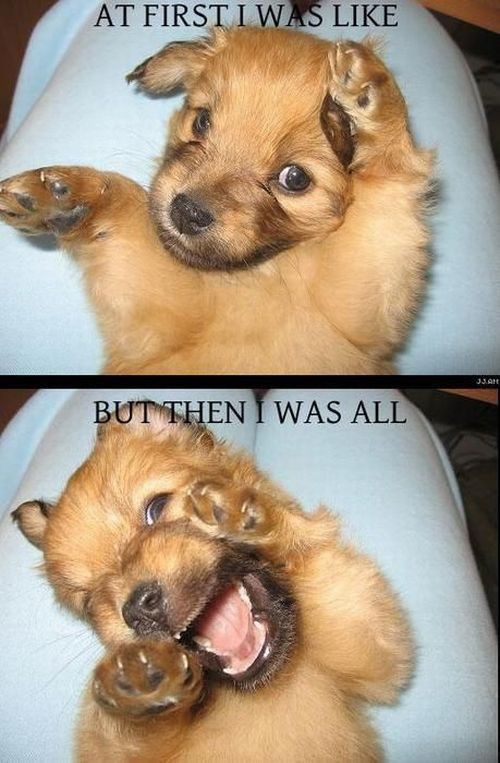 Daily picdump (116 pics)