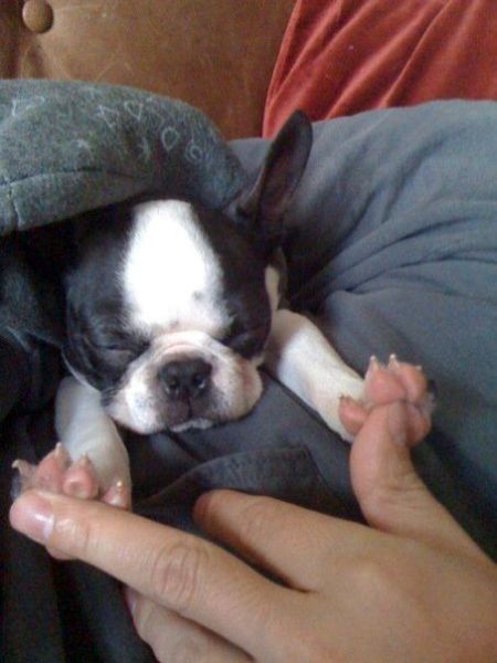 Daily picdump (116 pics)