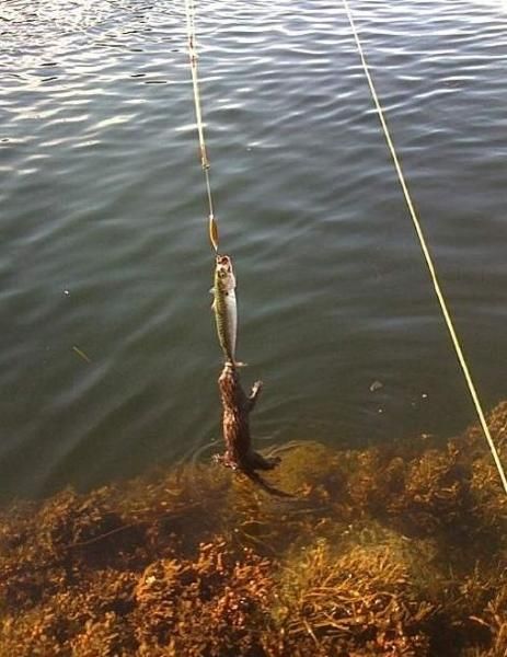 Daily picdump (116 pics)