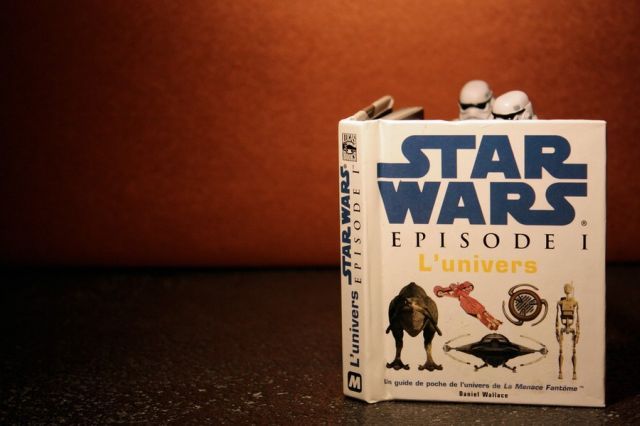 Stormtroopers’ Adventures (74 pics)