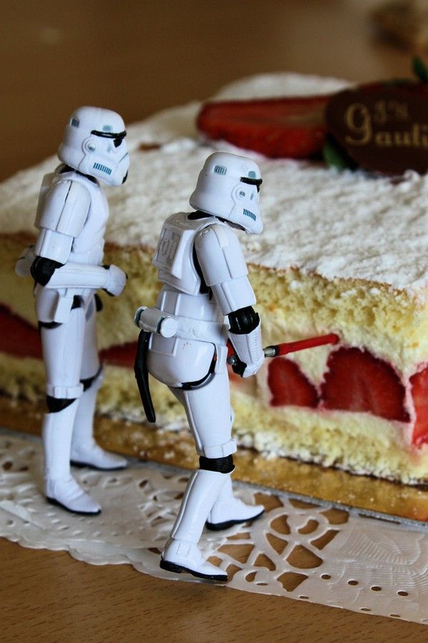 Stormtroopers’ Adventures (74 pics)