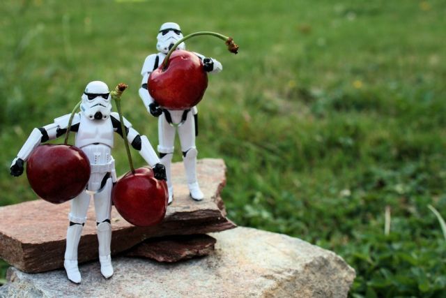 Stormtroopers’ Adventures (74 pics)