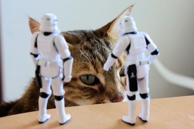 Stormtroopers’ Adventures (74 pics)