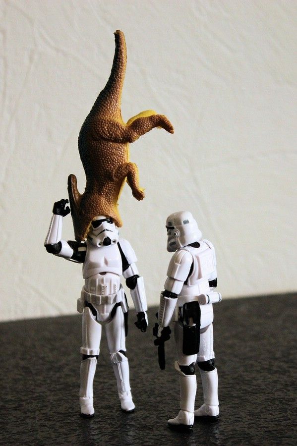 Stormtroopers’ Adventures (74 pics)