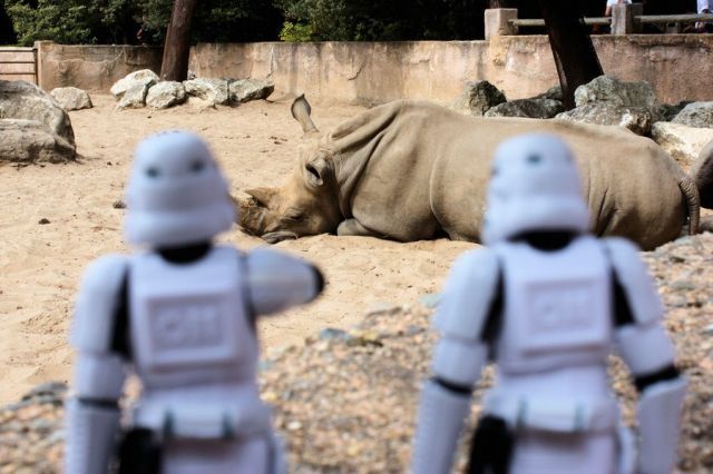 Stormtroopers’ Adventures (74 pics)
