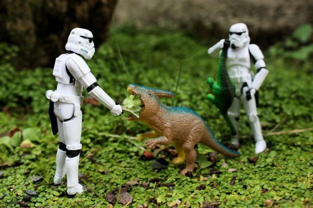 Stormtroopers’ Adventures (74 pics)