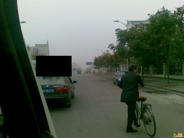 The Master of Transport (3 pics)