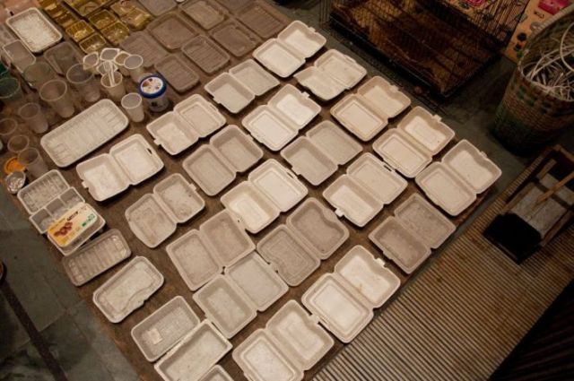 Waste Not – Interesting Chinese Art Project (34 pics)